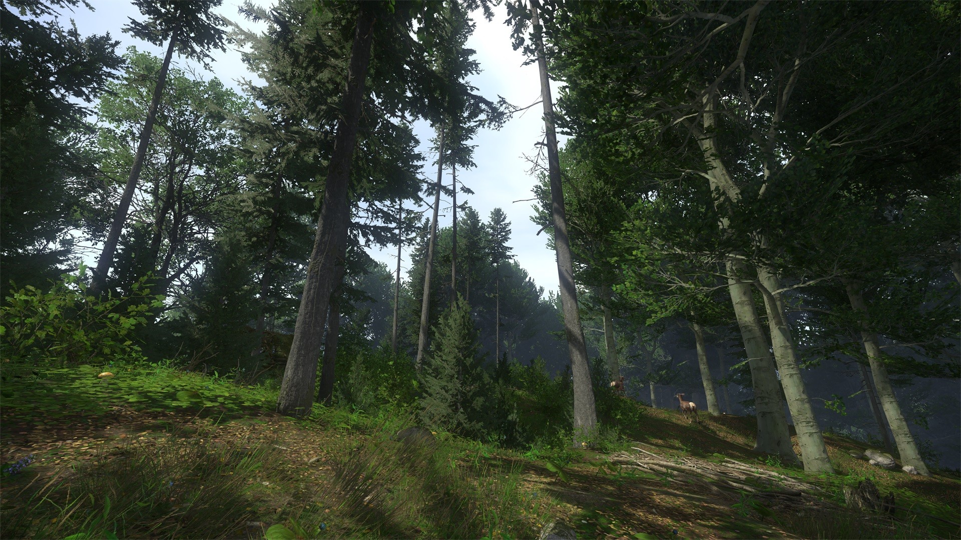 Kingdom Come Deliverance for PC Origin