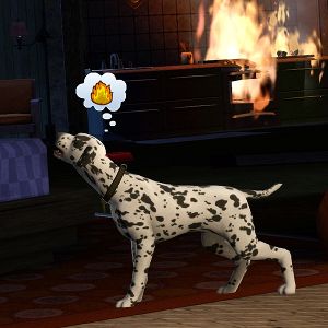 sims 3 pets custom content