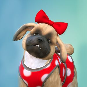 sims 4 cats and dogs