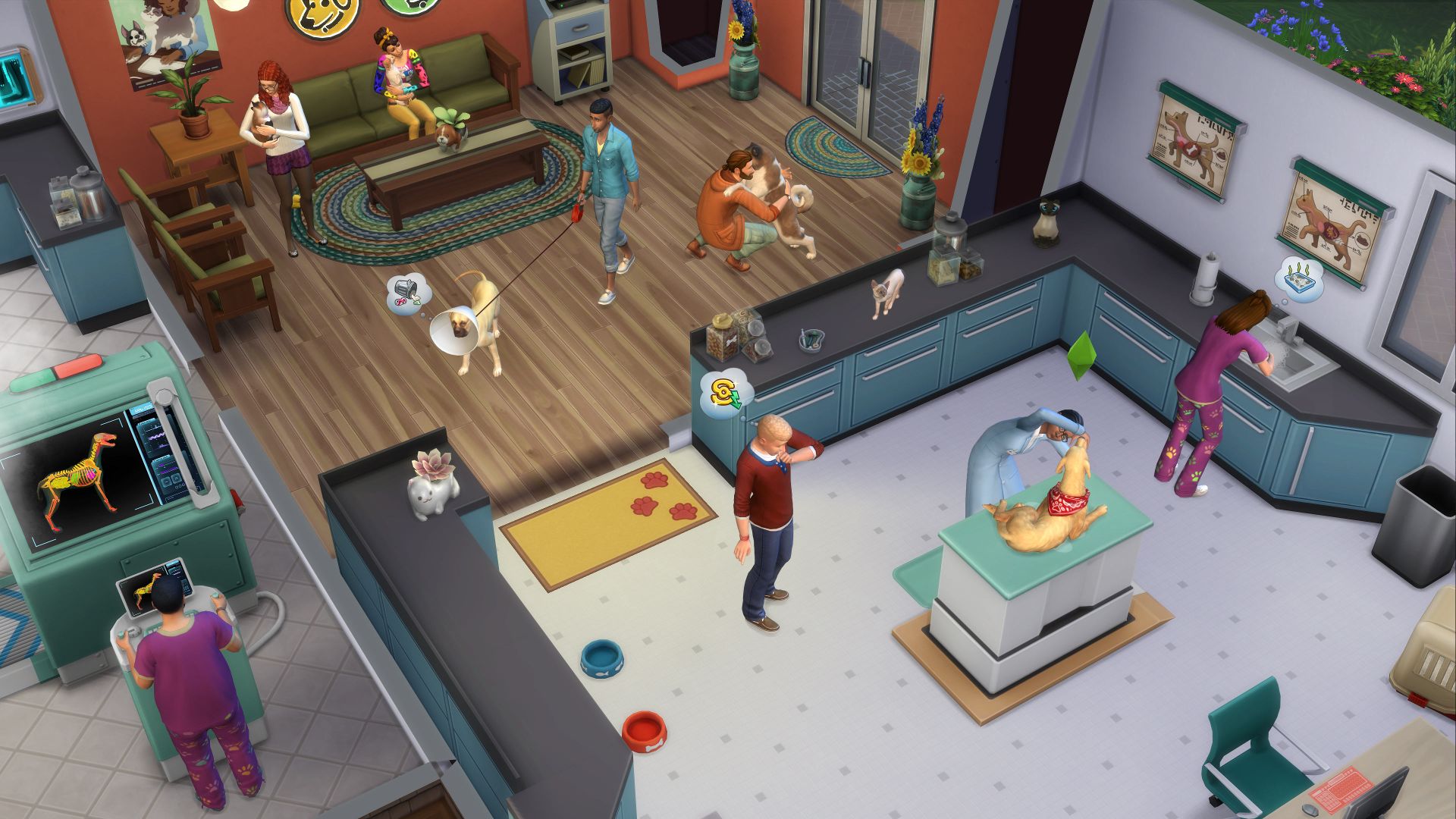 sims 4 cats and dogs code
